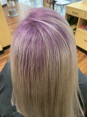 Purple Shadow Root