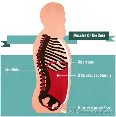 Strong muscles of the core !So necessary