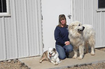 Spring Creek Kennels