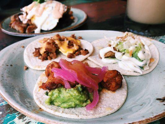 Chorizo de la Casa taco, Crispy "Baja Style" Fish Taco, & Gulf Shrimp "Diablo" Taco