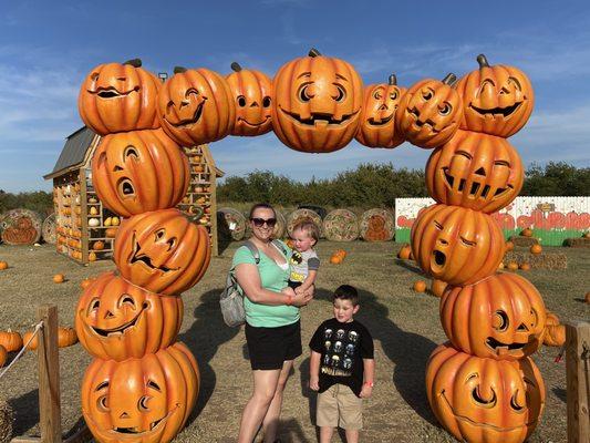 Hay ride takes you back to a pumpkin patch.