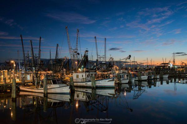 Shrimp boats along the Mississippi Gulf Coast