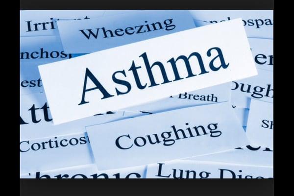 Asthma Haven!!