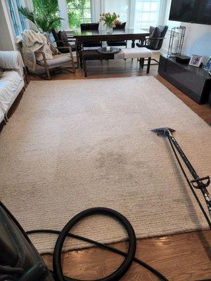 Rug cleaning