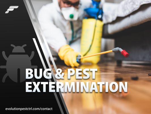 Bugs & Pests Extermination Services