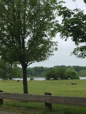 Buckmaster Pond of Westwood -- 350 Pond Street, Westwood        Park