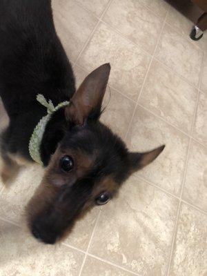 Long hairs out of her ears