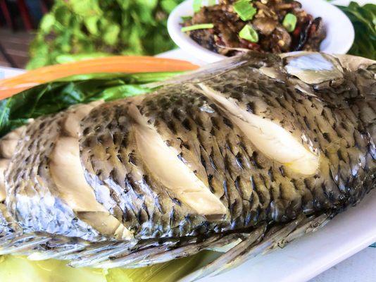 Steamed tilapia