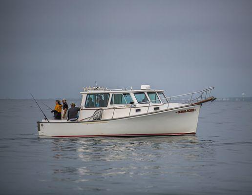 Sara star charters