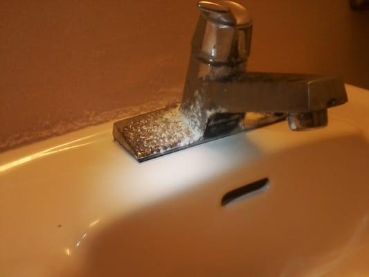 Mercy Housing Sink Faucet