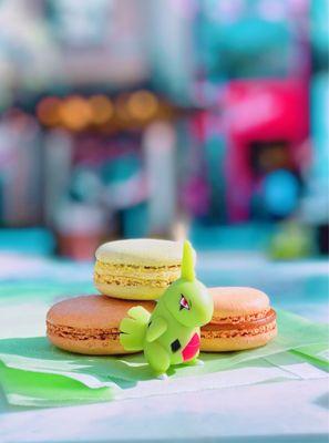 Larvitar enjoying Pistachio, Salted Caramel, Coffee Macarons