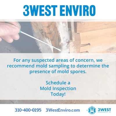 Schedule a Mold Inspection Today! 310-400-0195 or 3westenviro.com