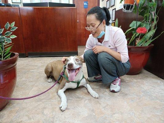 Helen Liao, Owner with a customer's Dog