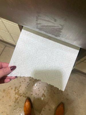 Very nice paper towels in the bathroom haha!