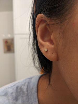 New earring