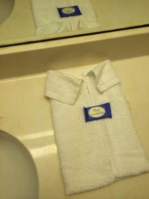 Shirt towel. This amused me.