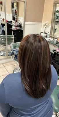 Layered cut with chocolate brown highlights