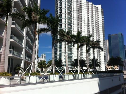 View of the ivy and the wind from pool area