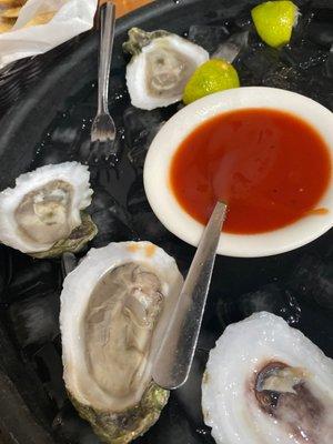 Amazing oysters!