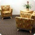 carpet and upholstery cleaning in Brighton, NY