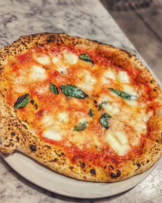 DOC margherita pizza