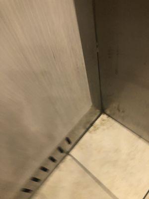 Filth in the corner of the elevator. Hope it's not pee.