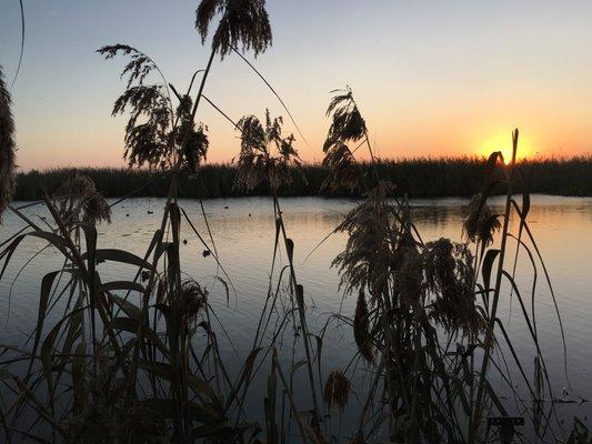 Nothing beats our sunrises in Fishing paradise!!  Venice Louisiana