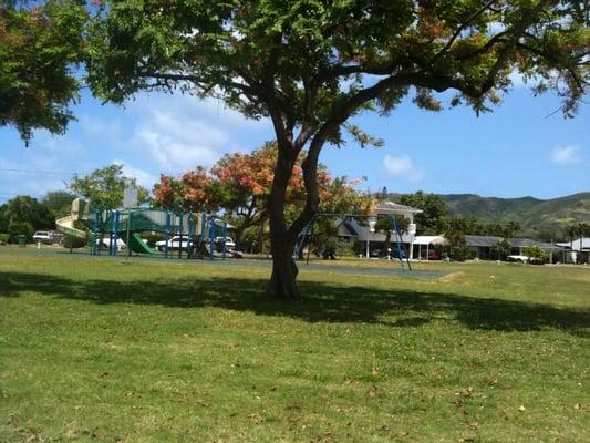 Playground area & shade trees available