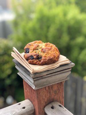 Blueberry & pecan scone