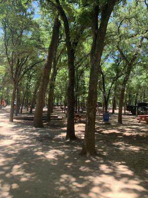 Lots of picnic tables under the trees