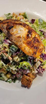 Salmon Salad