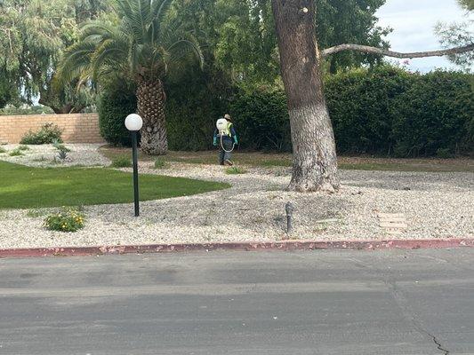 That used to be a beautiful park for picnics and dog play.  Now you can't get near the rocks because they are sprayed with poison.