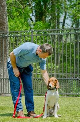 Manners Training is available to reinforce positive behaviors during your pups stay!