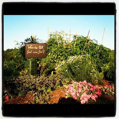 During the spring and summer, Chef Jamie incorporates fresh herbs and produce into the menu- picked from the herb garden on site