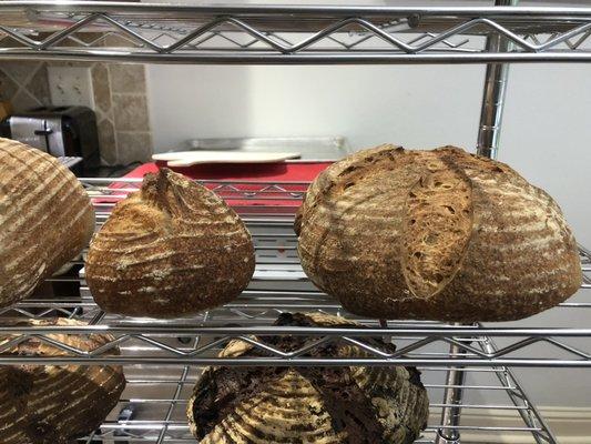 Sourdough cooling after baking