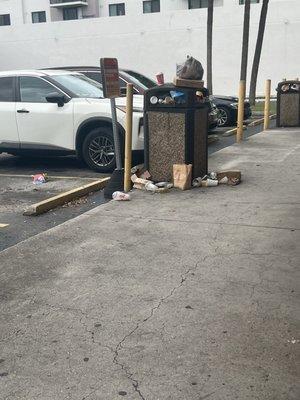 Over flowing garbage cans.