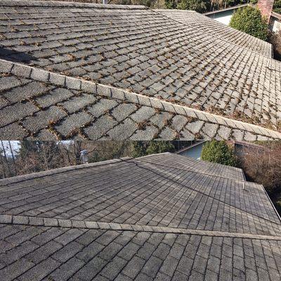 Roof cleaning before and after