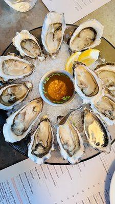 Oysters