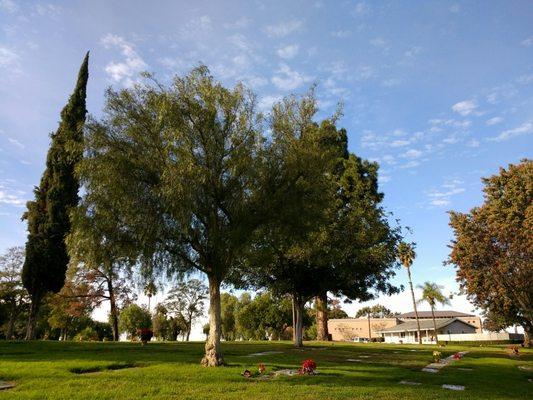 Olive Lawn Memorial Park