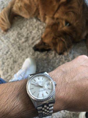 DateJust with jubilee bracelet and silver dial. Exactly what I was looking for.