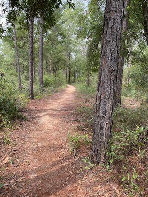 Munson Hills Mountain Bike Trail