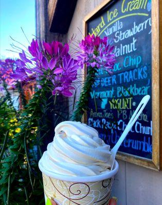 Maple creamee. A must when in VT