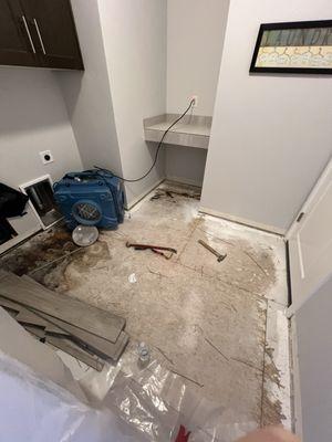 Laundry room leak damage