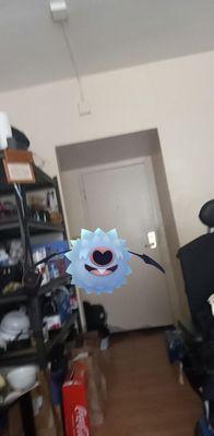 This is a picture of my front door while using a Pokemon app.