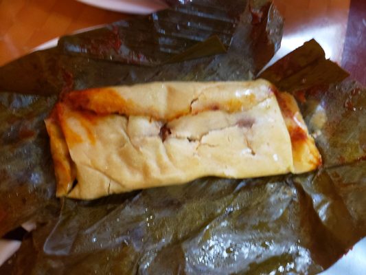 Carne asada tamale