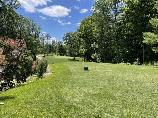 Hole #8 is a par 3 with a multi tiered tee box. It is surrounded by trees and  flowers and is just beautiful.