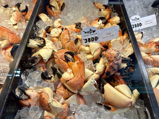 Stone Crabs