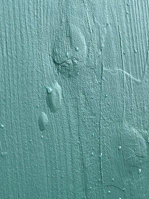 Bubbling/Blistering of paint on carport support beam