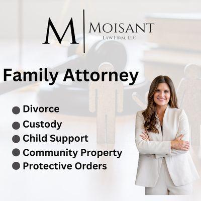 Family law services