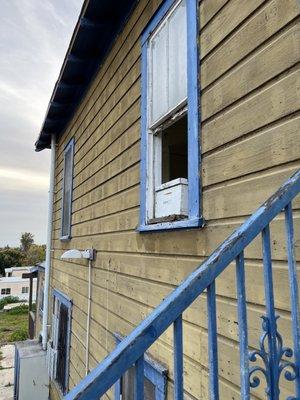 Window where hive was located.